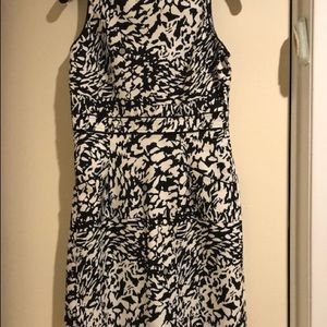 Faux leather trimmed dress